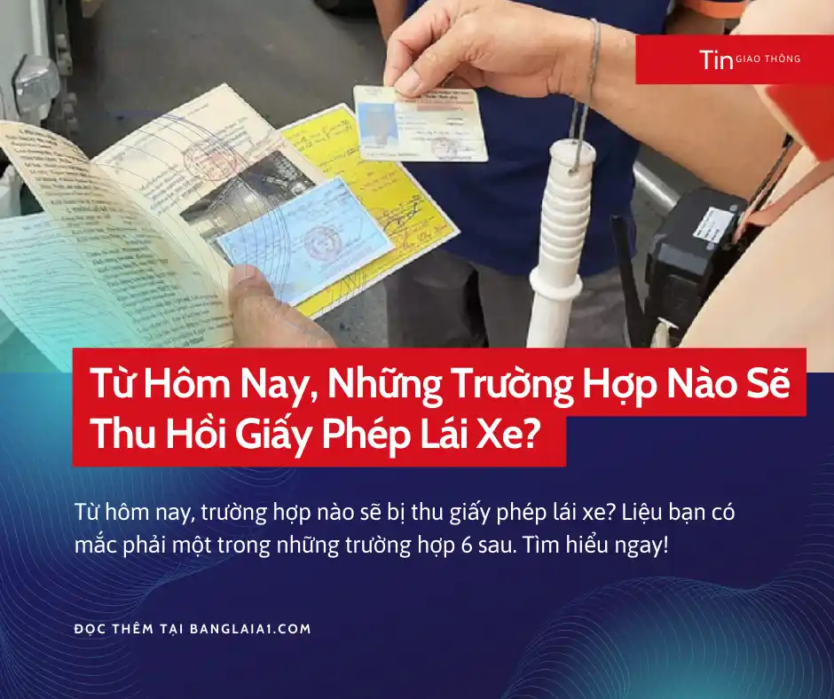 thu hồi bằng lái xe