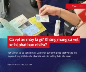 cà vẹt xe máy