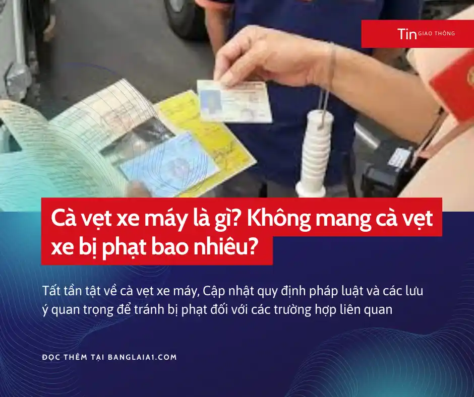 cà vẹt xe máy